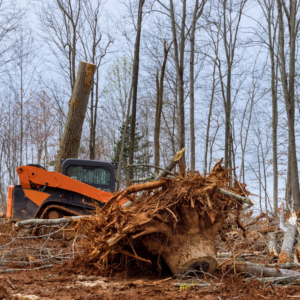 Land clearing